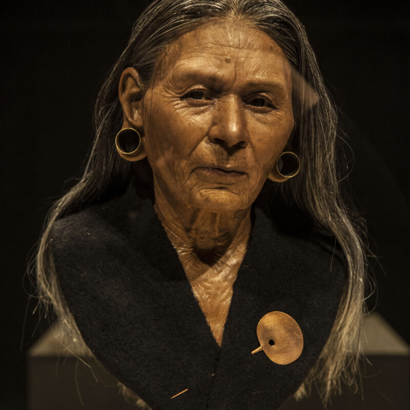 Popiersie królowej z Castillo de Huarmey w obecnym Peru. Hipperrealistyczna rekonstrukcja twarzy powstała na podstawie wydruku 3D uprzednio zeskanowej czaszki znalezionej w grobie arystokratki. Przedstawia kobietę w starszym wieku o indiańskich rysach, z licznymi zmarszczkami na ciemnej skórze, z ciemnobrązowymi oczami i długimi, ciemnoszarymi włosami z licznymi siwymi pasmami. Płatki uszu przekute są na wylot dużymi, złotymi okręgami. Ramiona przykryte czarną tkaniną, przypiętą długą złotą szpilą z owalną dużą główką. Tkanina układa się w dekolt w tzw. serek. Kultura Wari (650-1050 n.e.), centralne Andy peruwiańskie.