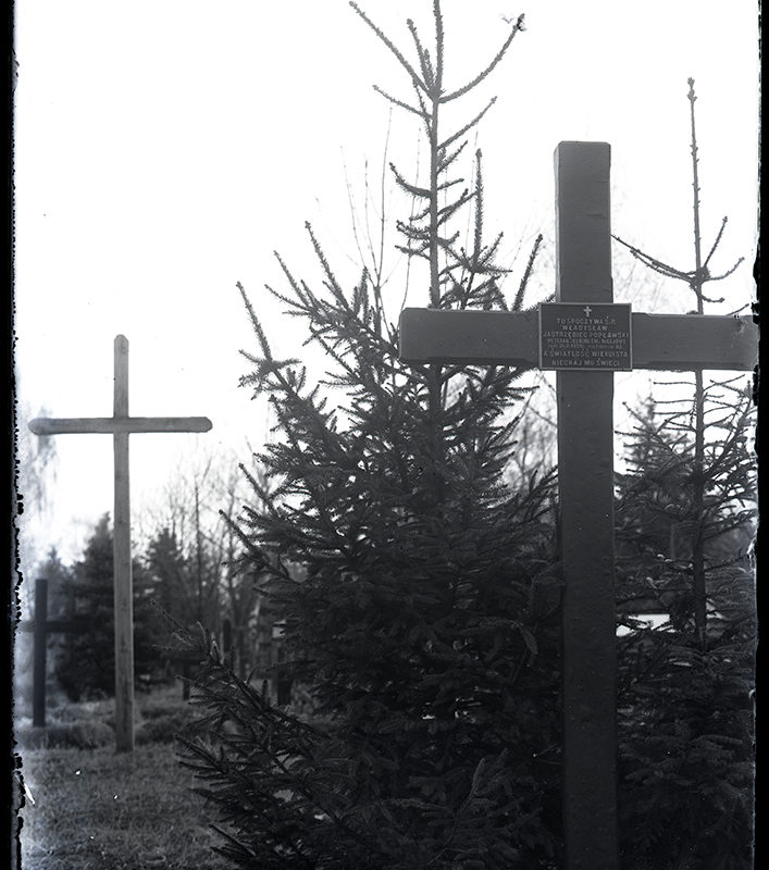Krzyże pamiątkowe w okolicach Nowego Sącza_Arch. PME N.4053_2. Na pierwszym planie, nieco z prawej strony, drewniany krzyż z metalową niewielka tabliczką na przecięciu ramion. Za krzyżem świerk. W dali, po lewej stronie, inny wysmukły drewniany krzyż.