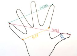 Graficzne przedstawienie miar w odniesieniu do rozłożonej dłoni. Między kciukiem a małym palcem mamy piędź, od czubka palca wskazującego do małego - ćwierć, zaś szerokość kciuka to cal.
