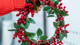 Na zdjęciu ręka trzymająca wieniec świąteczny w kolorze czerwono zielonym.